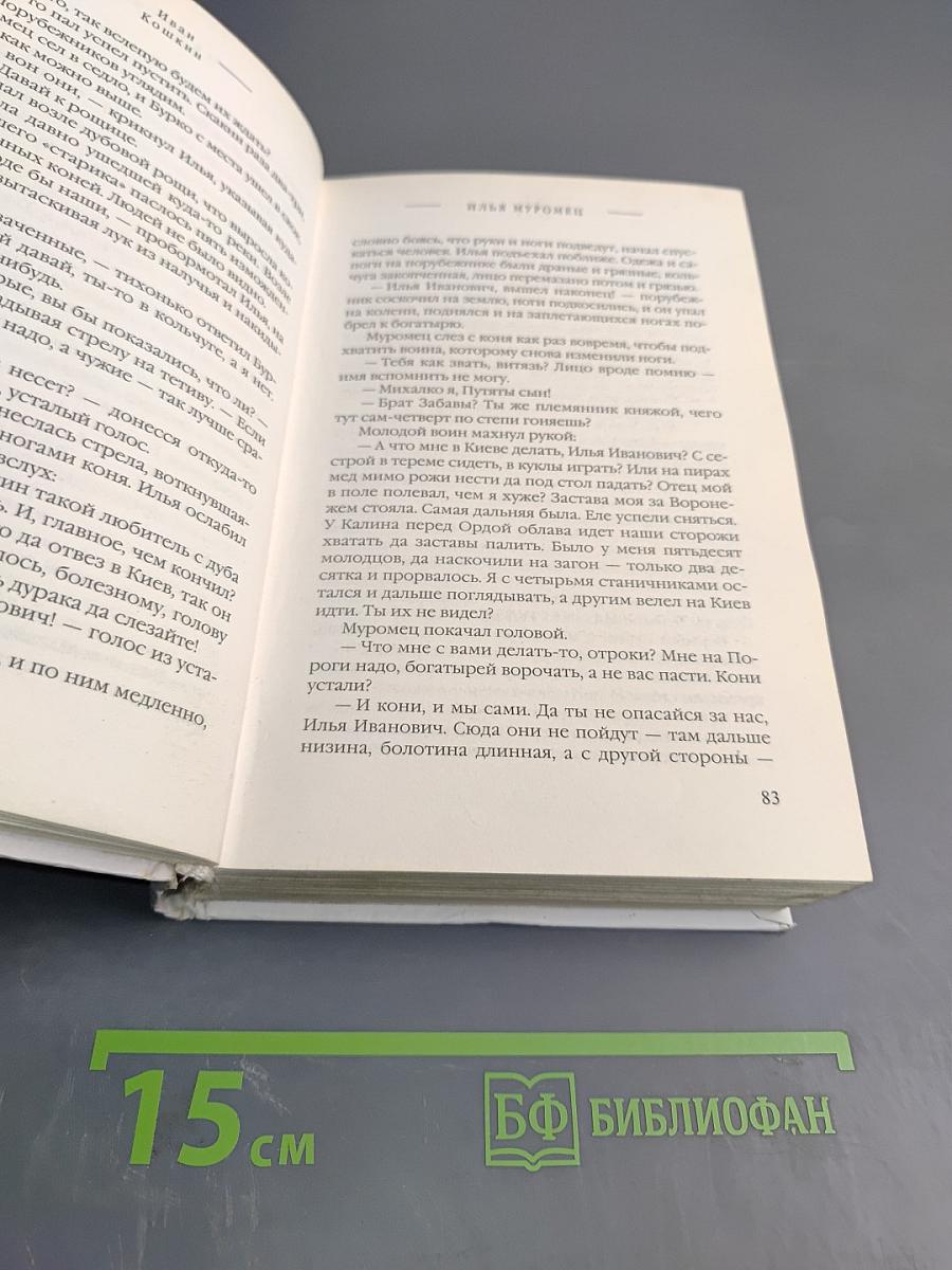 Илья Муромец