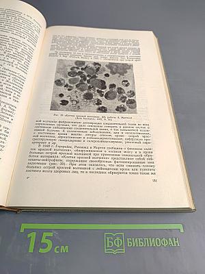 Инфекционные и паразитарные болезни кожи