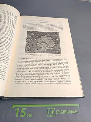 Руководство по неврологии. Инфекционные и токсические болезни нервной системы. Книга 1