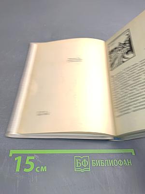 Невский район