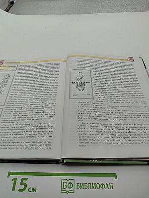 Мое увлечение Розы