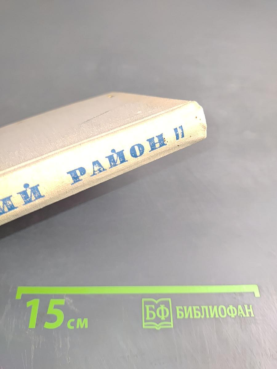 Невский район