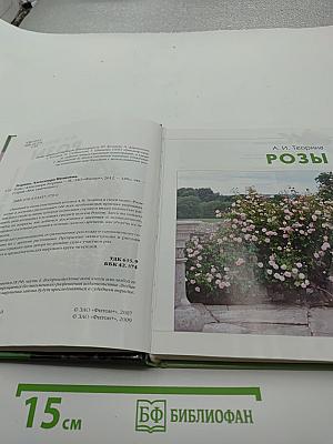 Мое увлечение Розы
