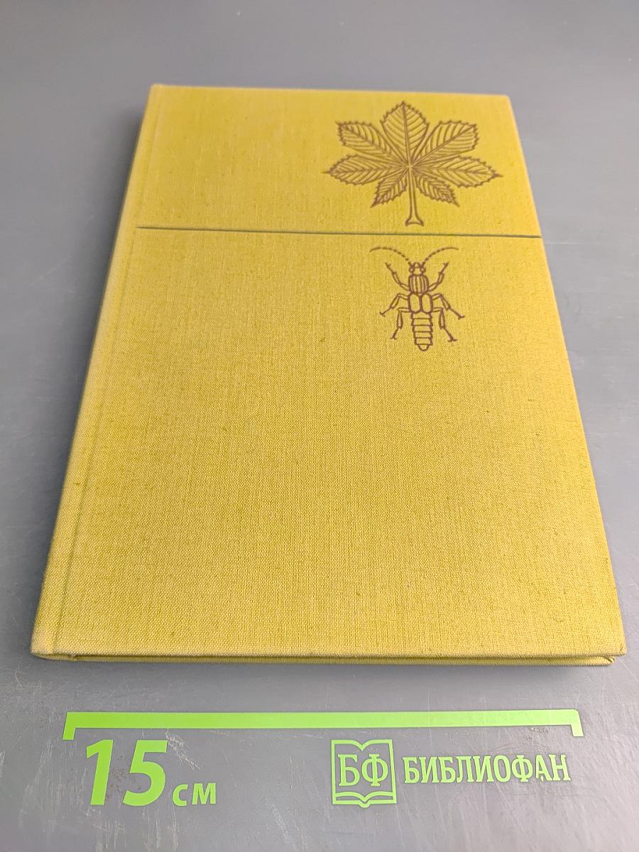 Pflanzen und Tiere Ein Naturführer