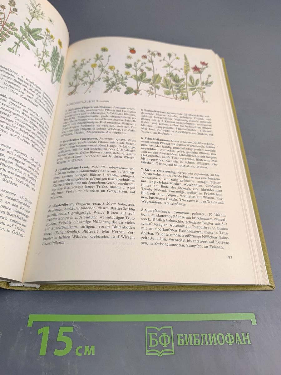 Pflanzen und Tiere Ein Naturführer