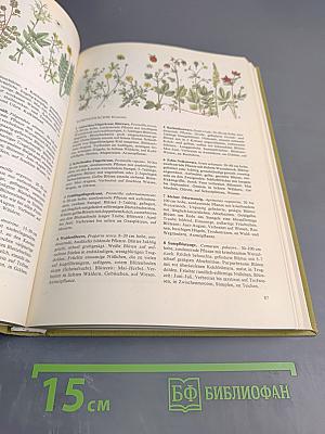 Pflanzen und Tiere Ein Naturführer