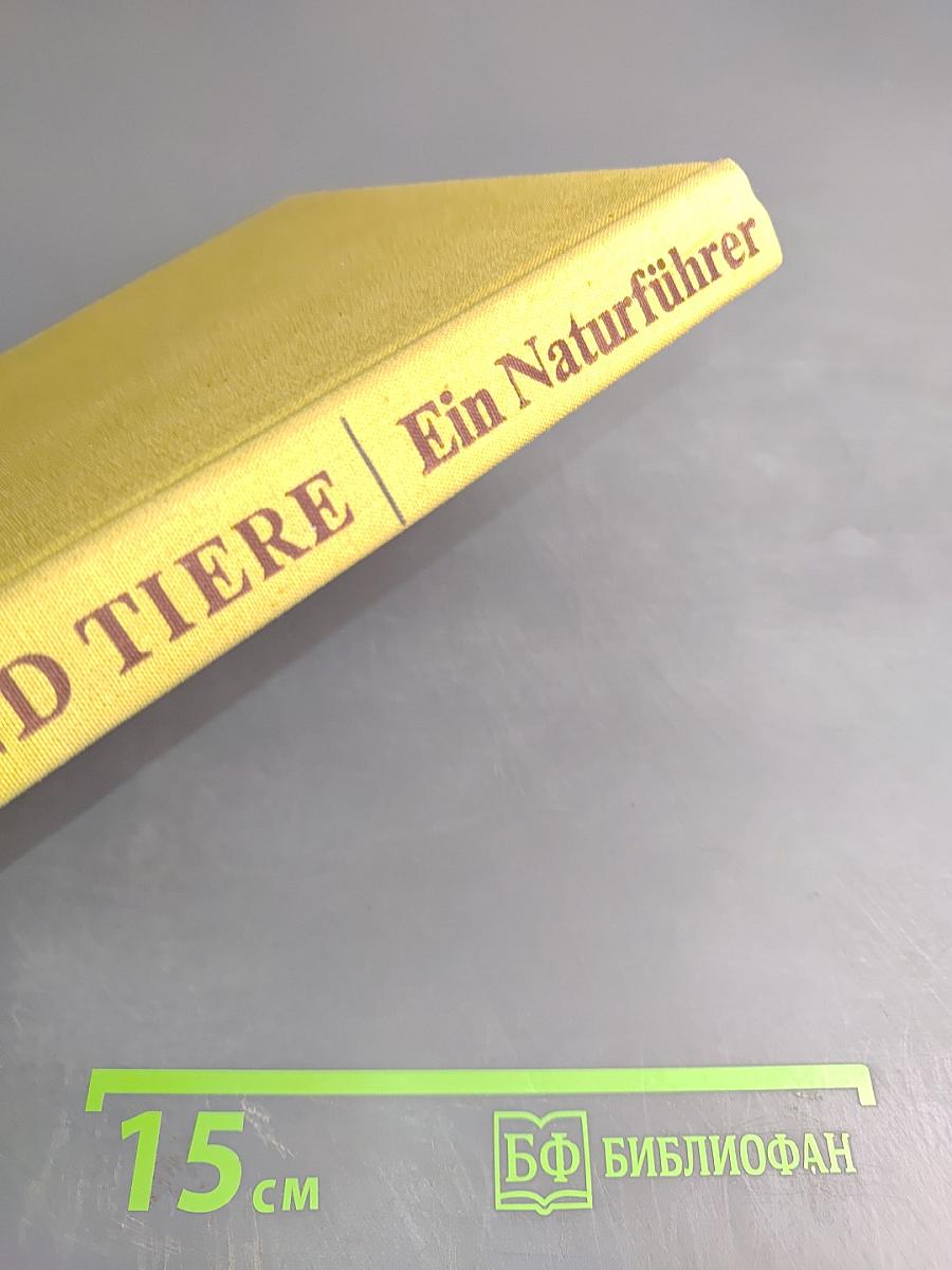 Pflanzen und Tiere Ein Naturführer