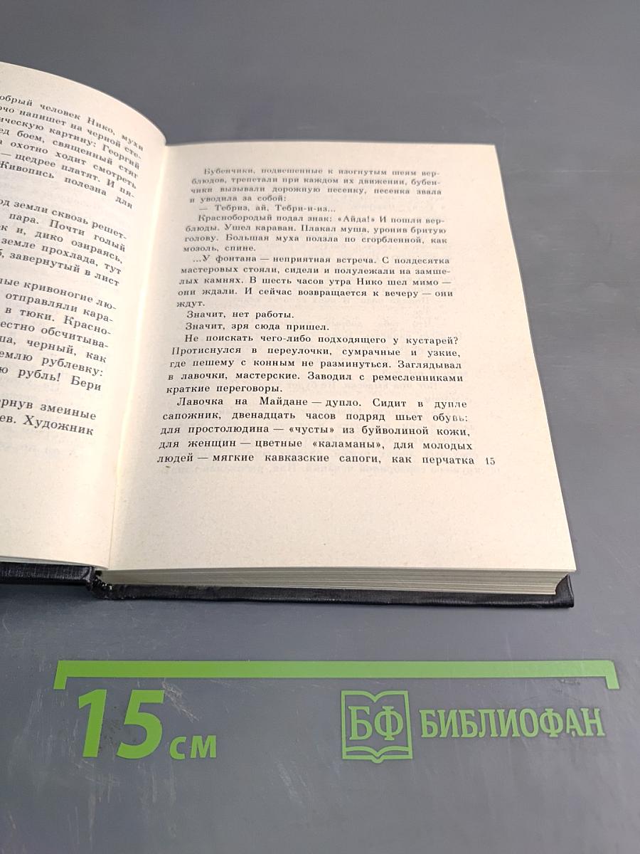 Бродяга художник по городу: Повести