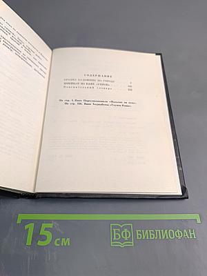 Бродяга художник по городу: Повести