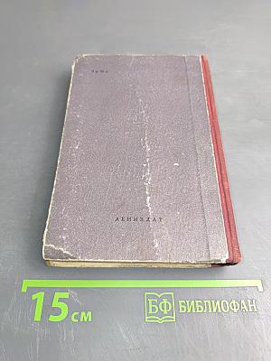 Михайловский Замок