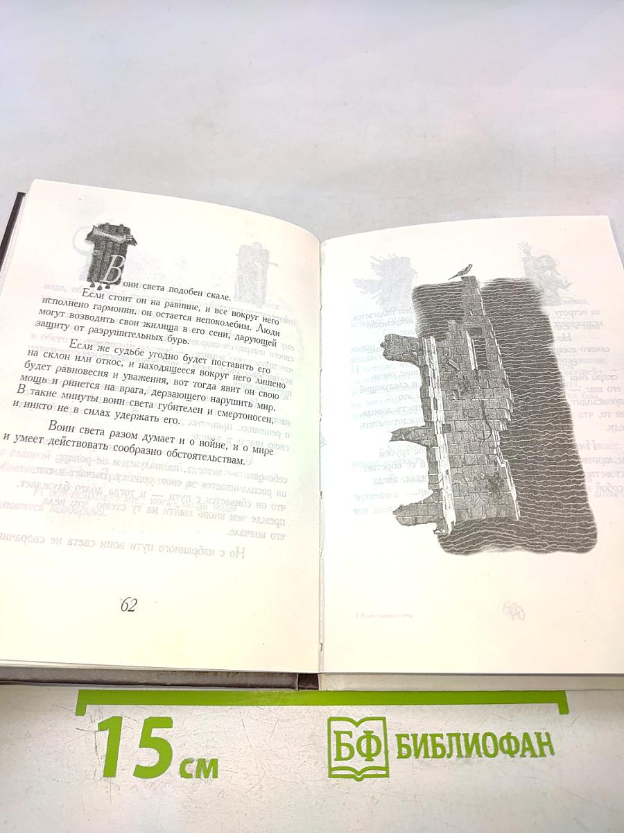 Книга воина света