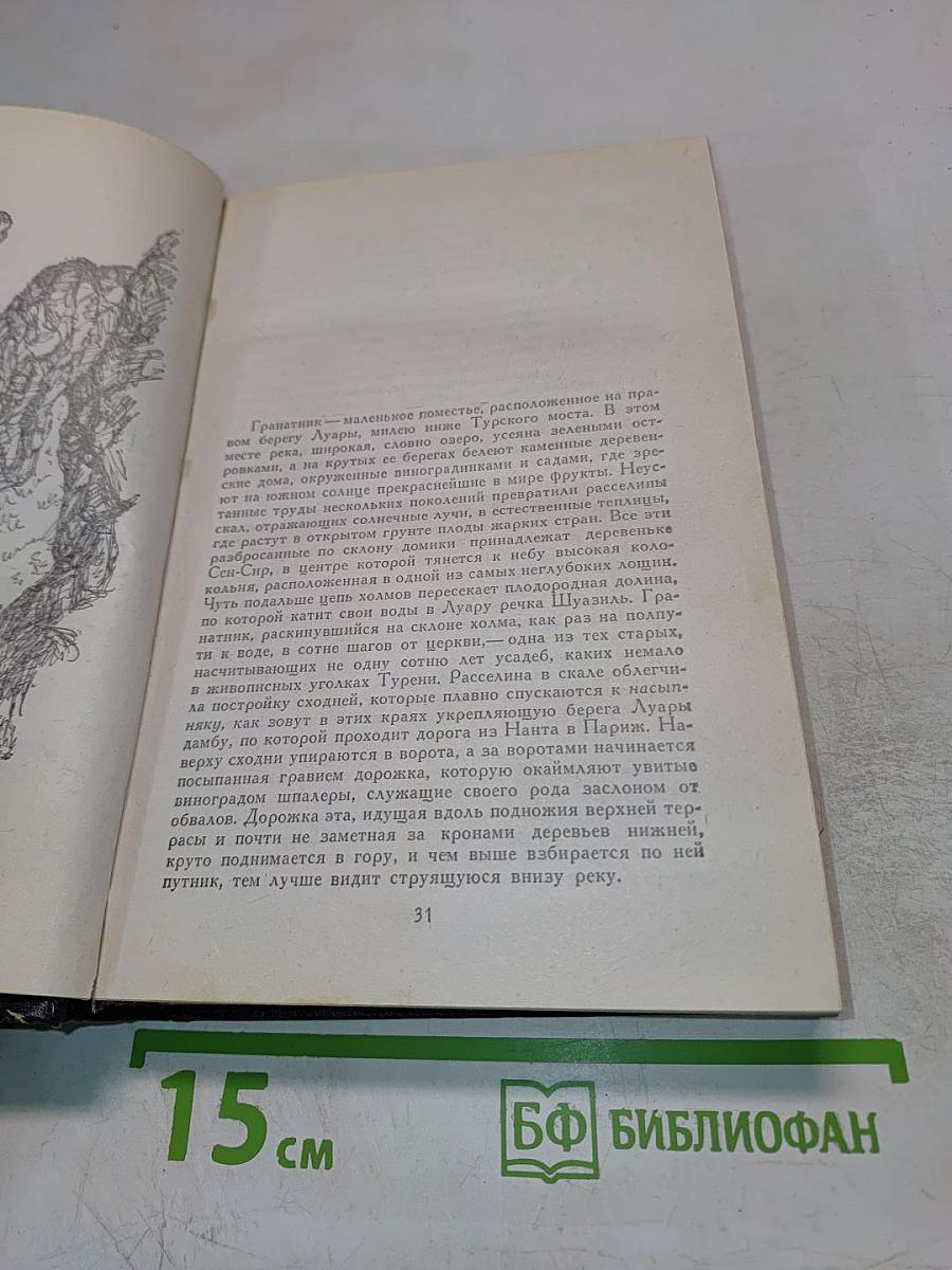 Воспоминания двух юных жен