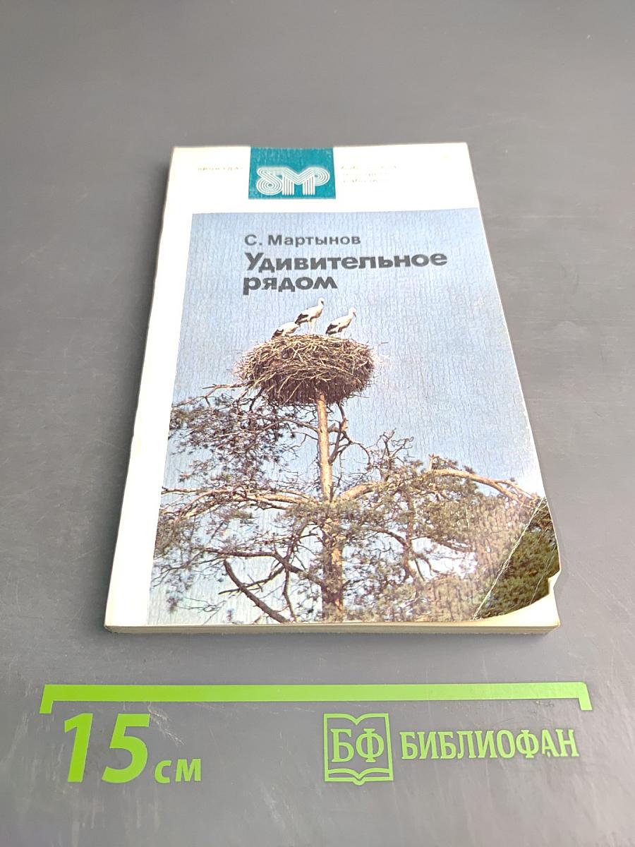 Удивительное рядом