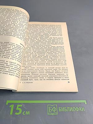 Удивительное рядом