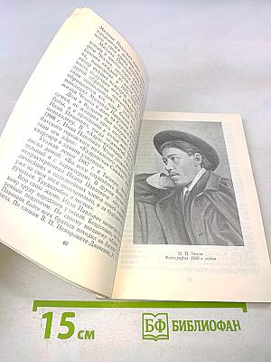 Из жизни А.П. Чехова. Дом в Кудрине