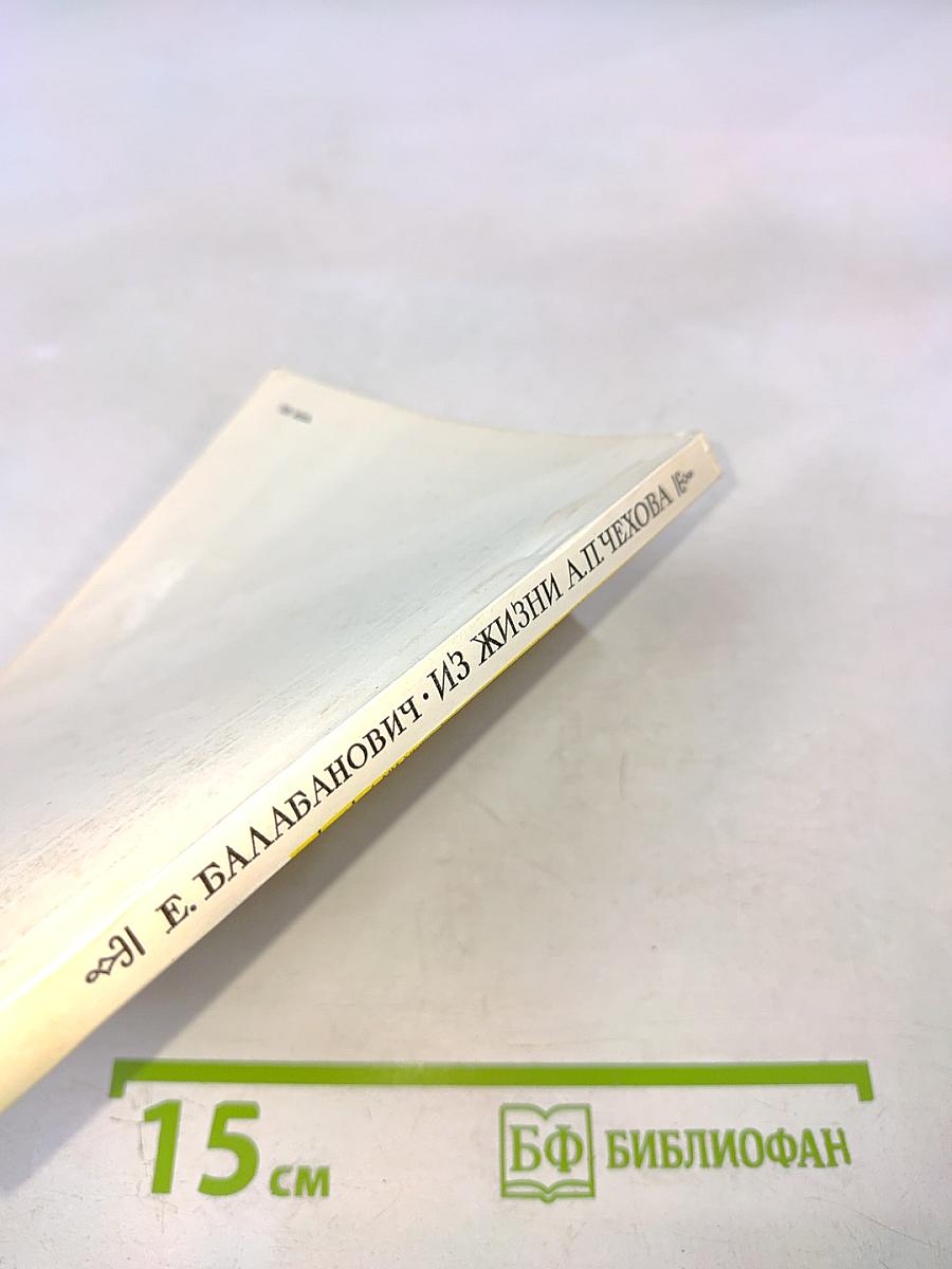 Из жизни А.П. Чехова. Дом в Кудрине