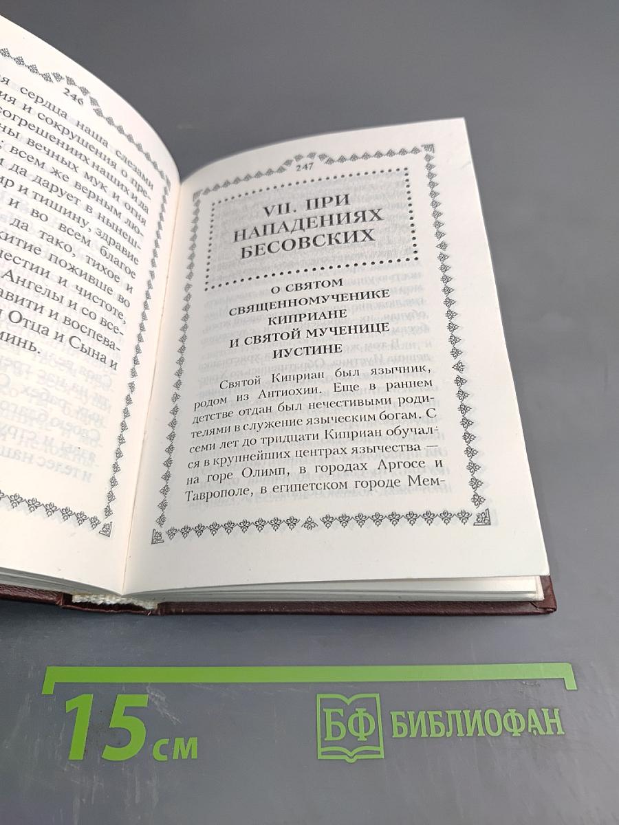 Акафисты и Каноны, чтомые в скорбях и искушениях