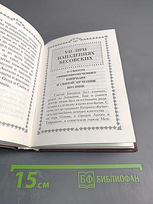 Акафисты и Каноны, чтомые в скорбях и искушениях