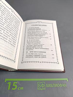 Акафисты и Каноны, чтомые в скорбях и искушениях
