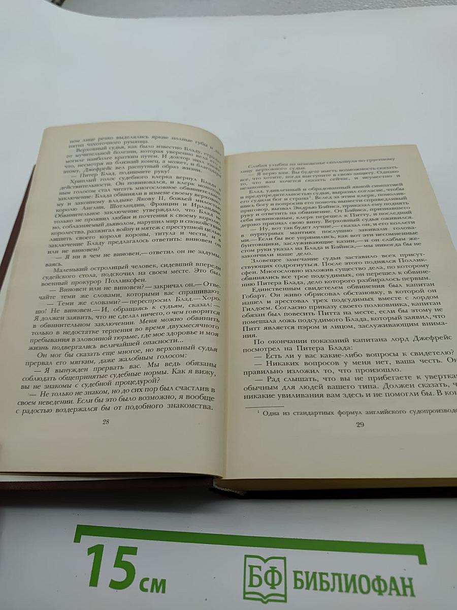 Одиссея капитана Блада. Хроника капитана Блада.