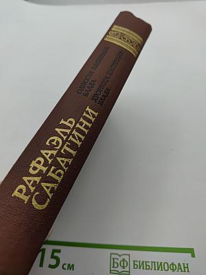 Одиссея капитана Блада. Хроника капитана Блада.