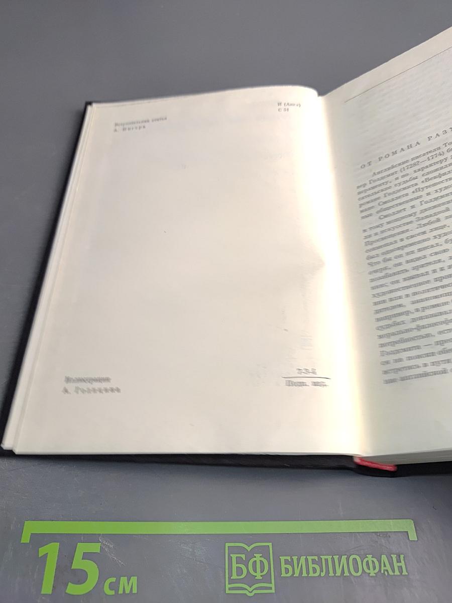 Путешествие Хамфри Клинкера; Векфильдский священник