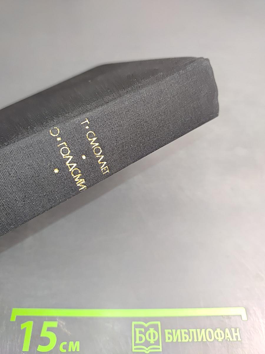 Путешествие Хамфри Клинкера; Векфильдский священник