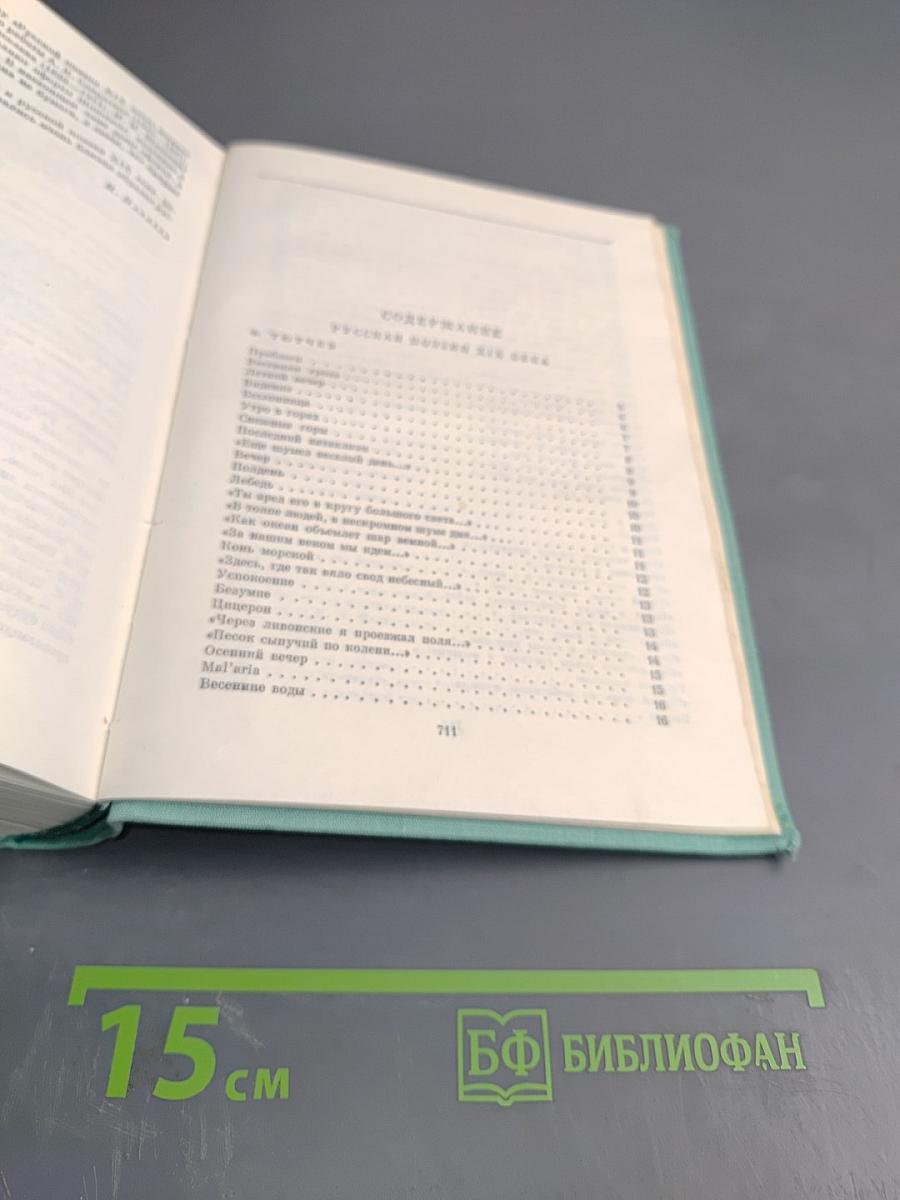 Русская поэзия XIX века. Том второй