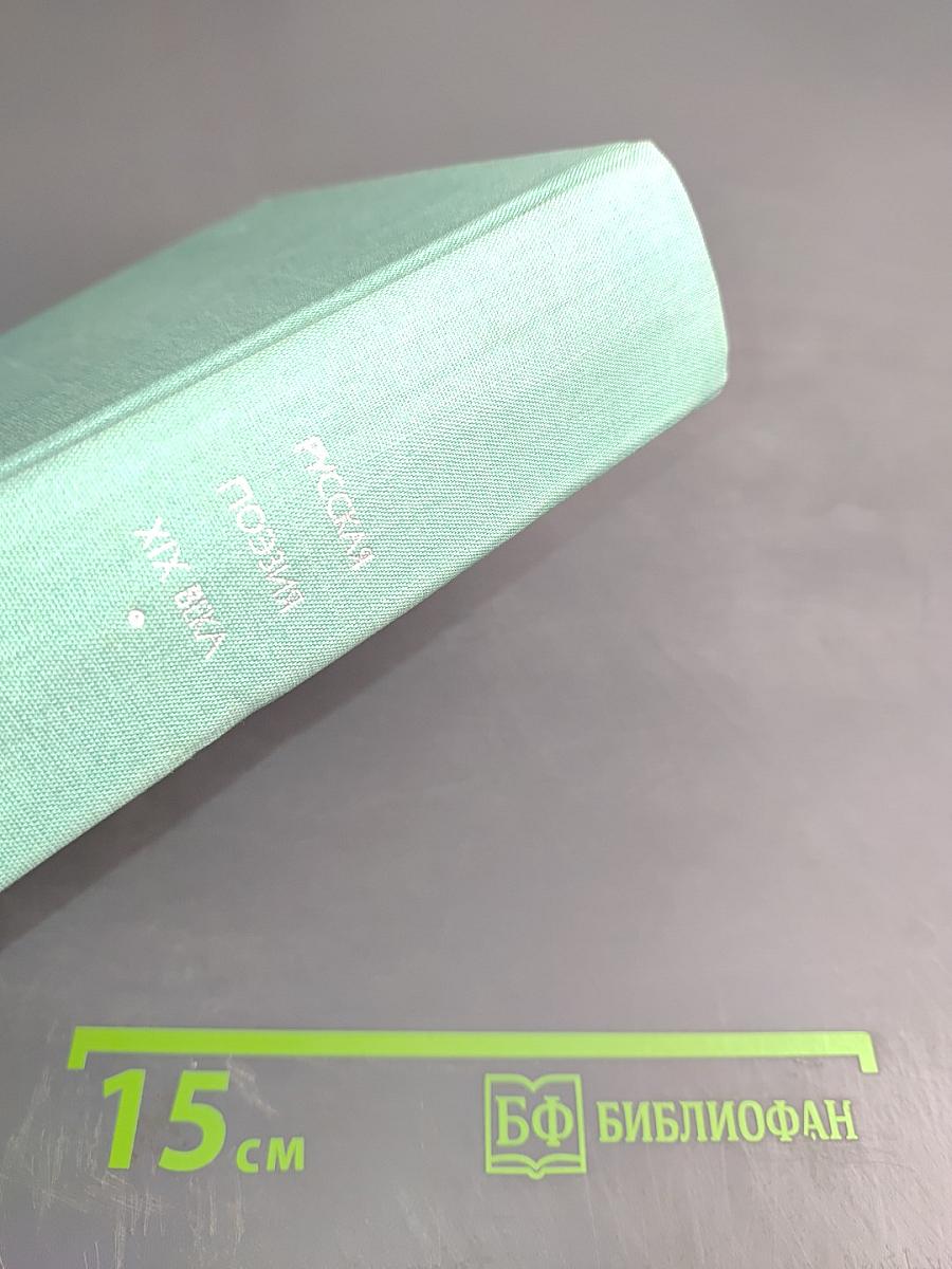 Русская поэзия XIX века. Том второй