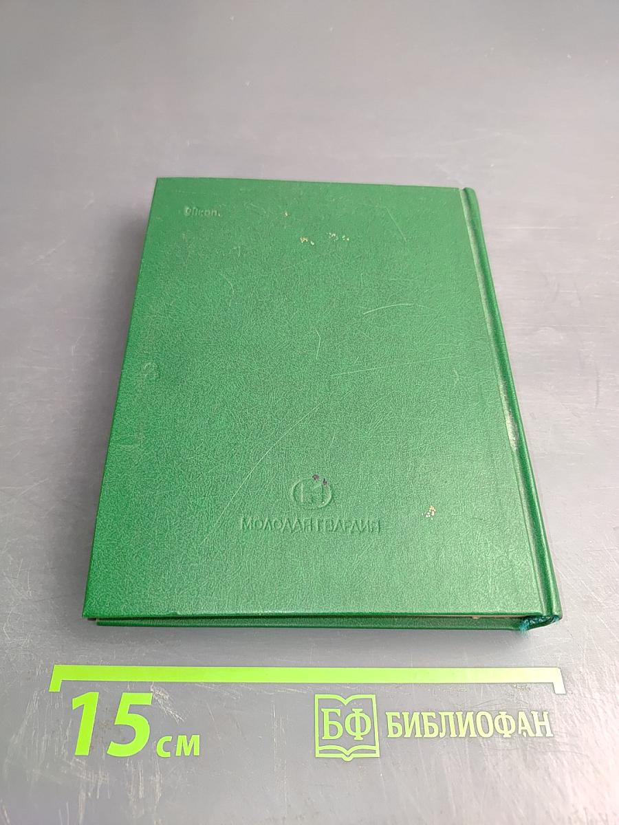 Зарубежные молодежные организации