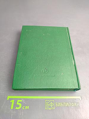 Зарубежные молодежные организации