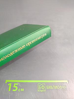 Зарубежные молодежные организации