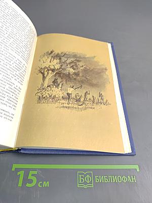 Робинзон Крузо. История полковника Джека