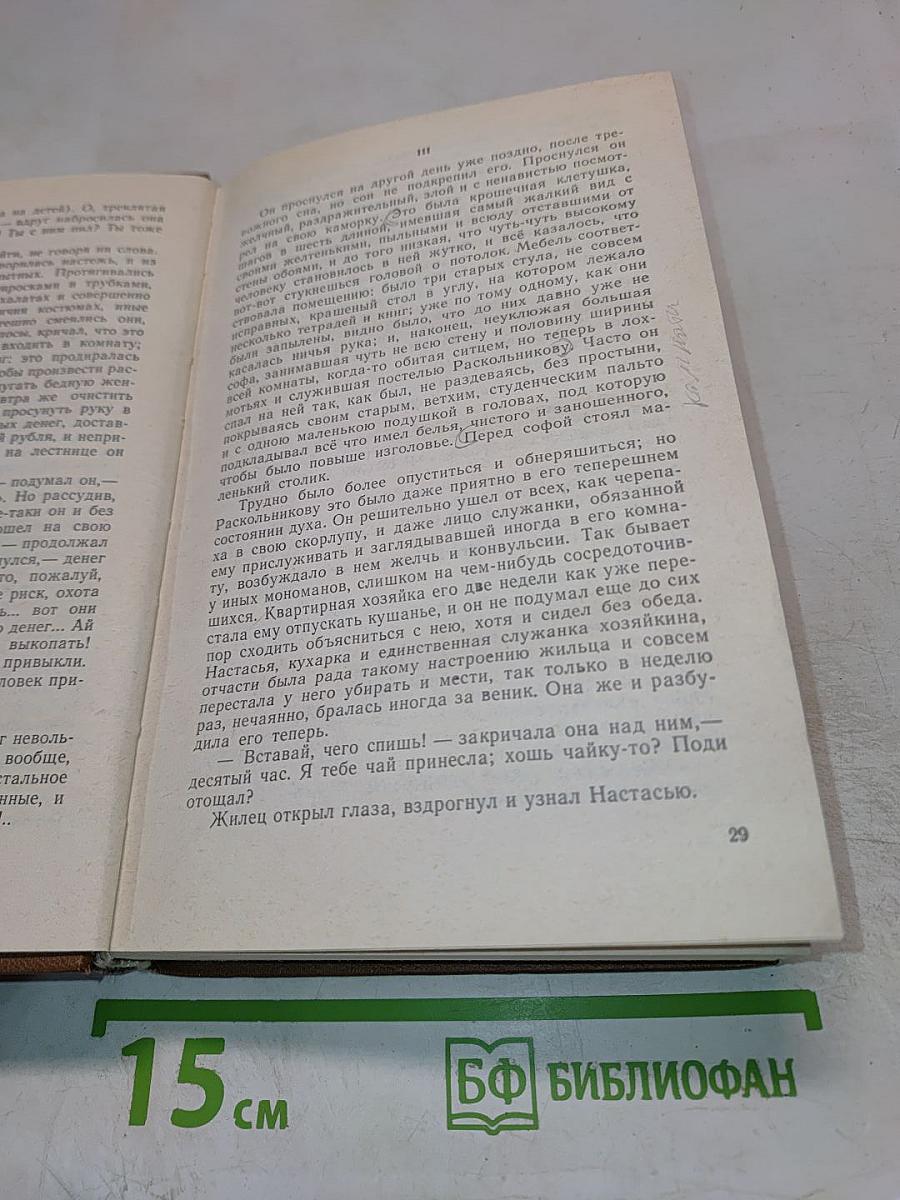 Собрание сочинений Ф.М. Достоевского. Том пятый: Преступление и наказание