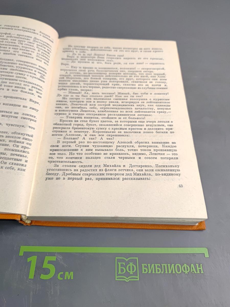 Повесть о настоящем человеке. Спутники