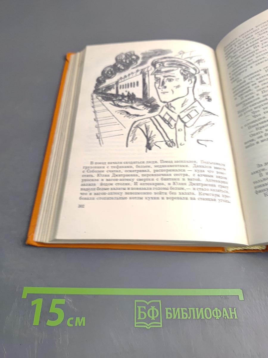 Повесть о настоящем человеке. Спутники