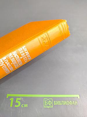 Повесть о настоящем человеке. Спутники