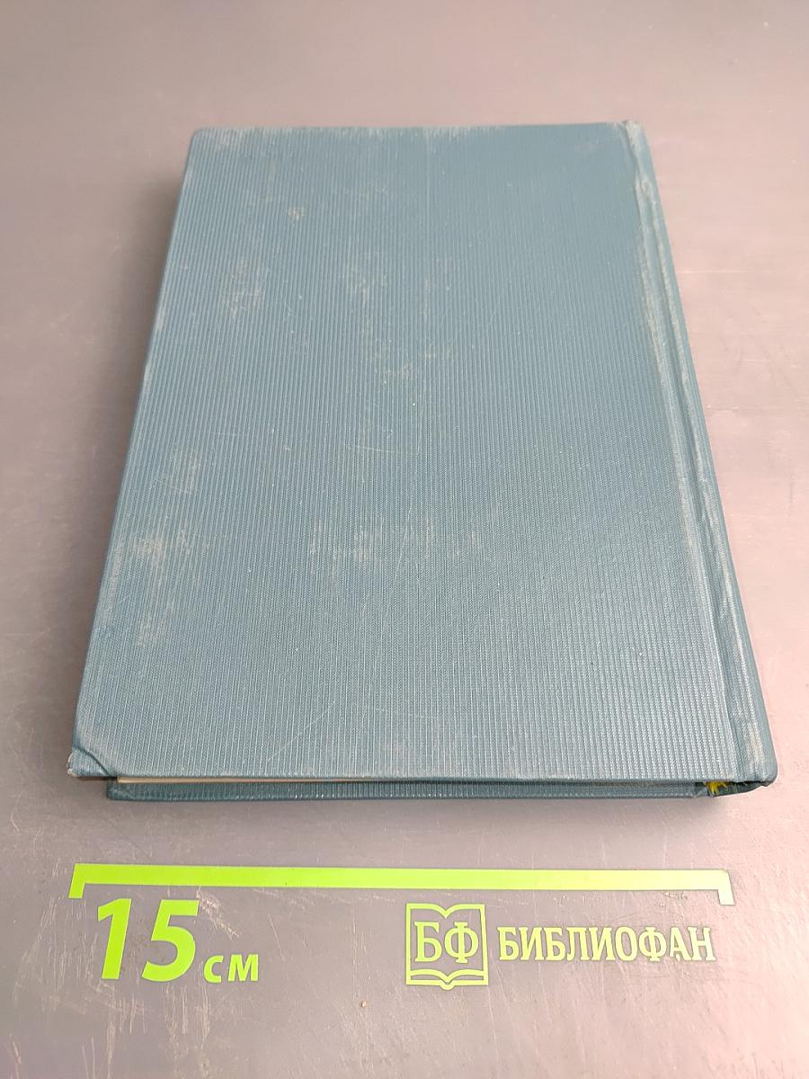 Россия молодая. Том третий