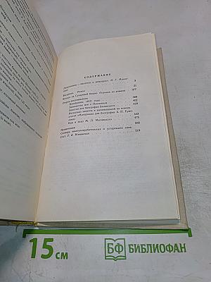 Басурман. Колдун на Сухаревой башне. Очерки-воспоминания