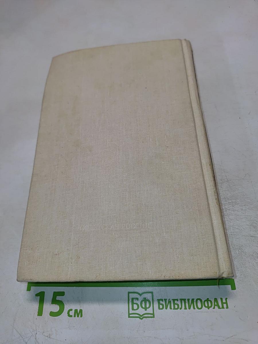 Басурман. Колдун на Сухаревой башне. Очерки-воспоминания