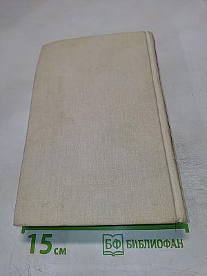 Басурман. Колдун на Сухаревой башне. Очерки-воспоминания