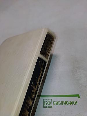 Басурман. Колдун на Сухаревой башне. Очерки-воспоминания