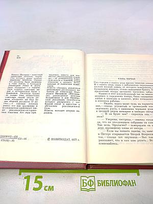 Генерал, рожденный революцией