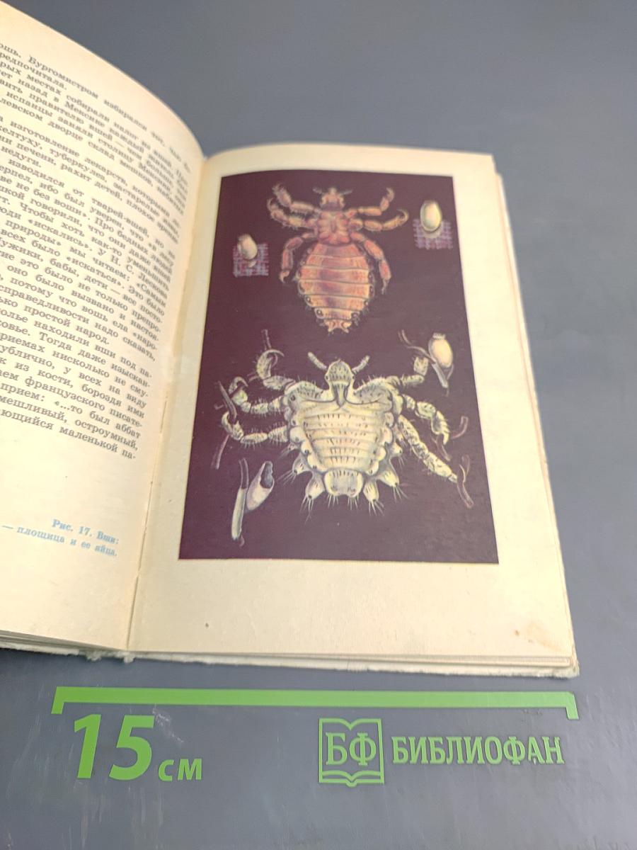 Живые организмы - спутники человека