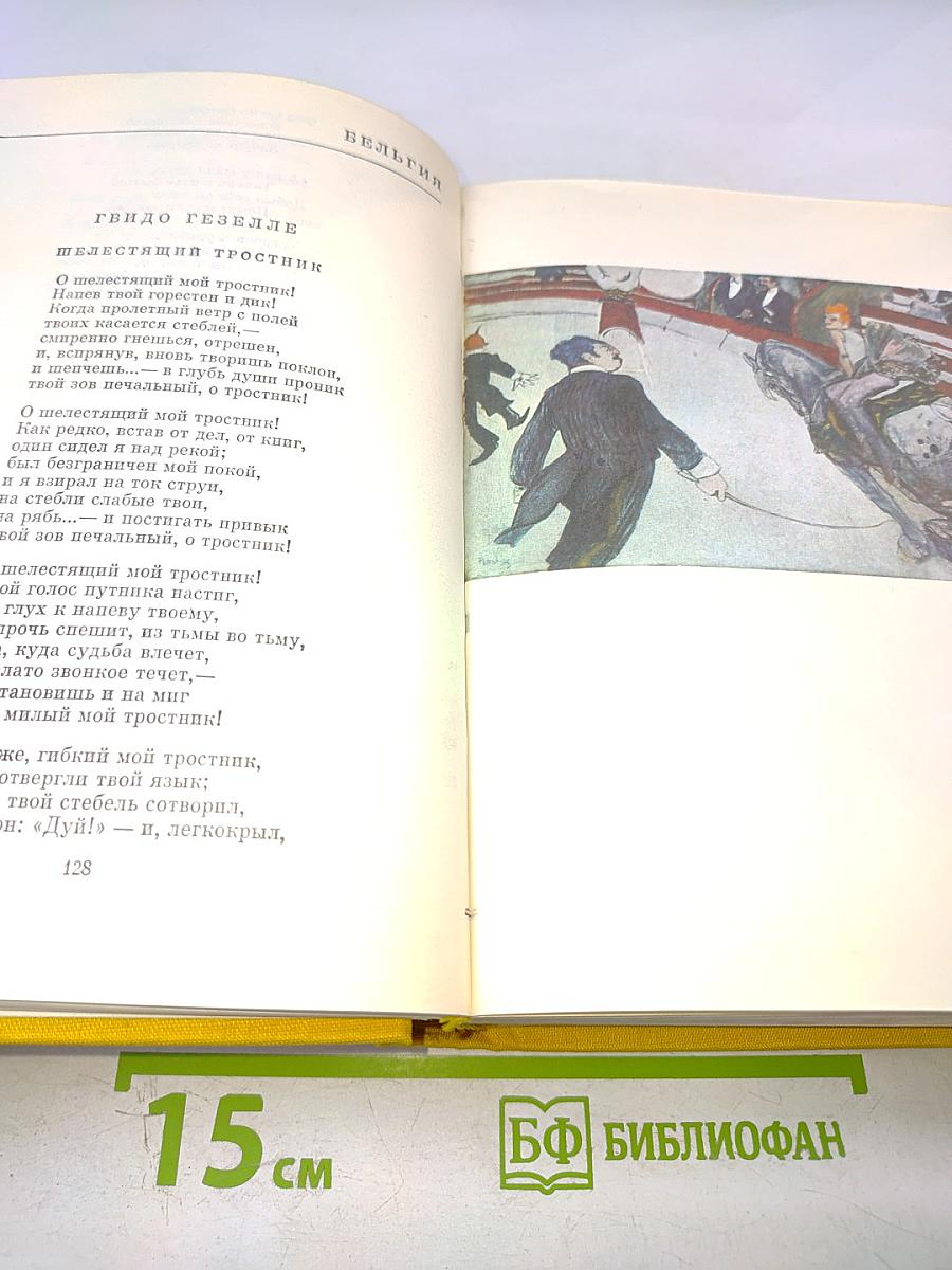 Европейская поэзия XIX века