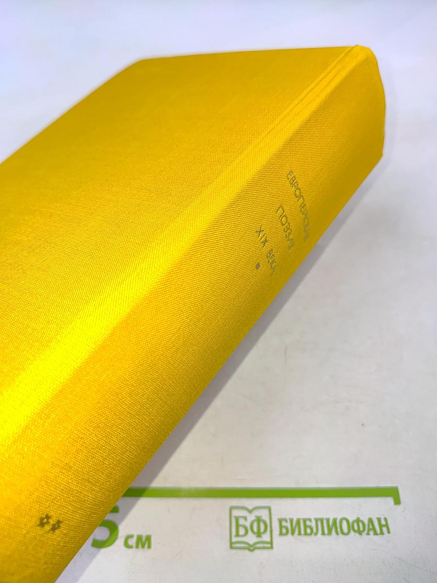 Европейская поэзия XIX века