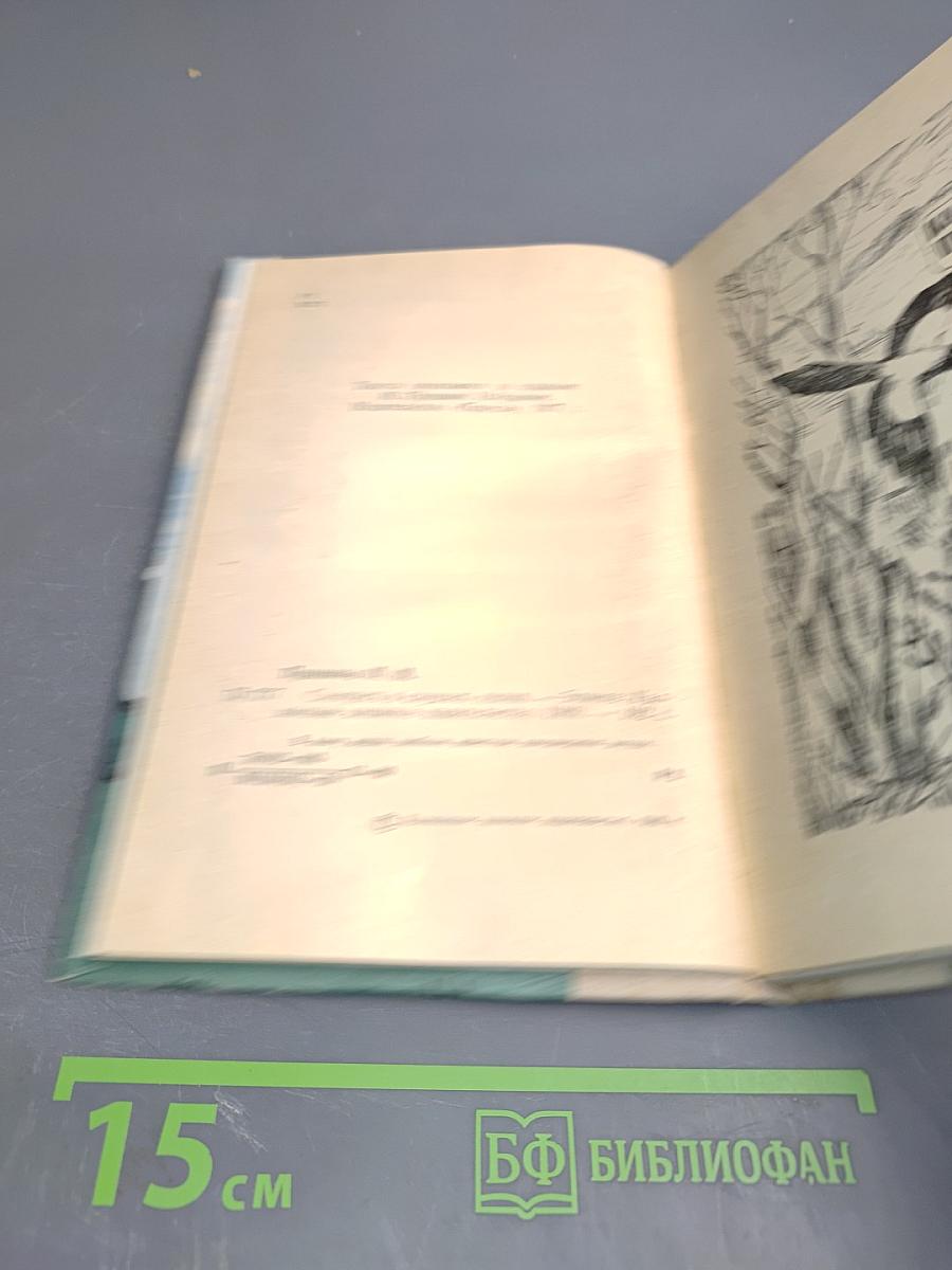 Смотреть и слушать лилии