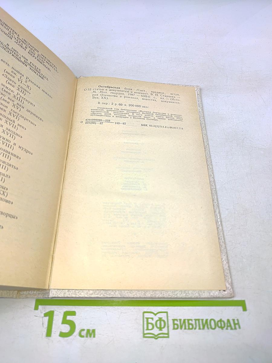 Октябрьская Буря