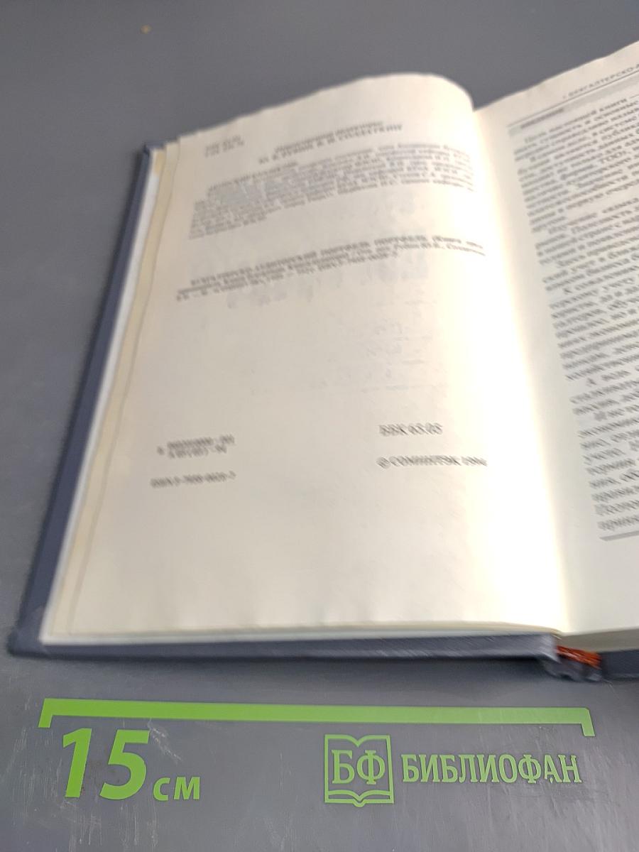 Бухгалтерско-аудиторский портфель