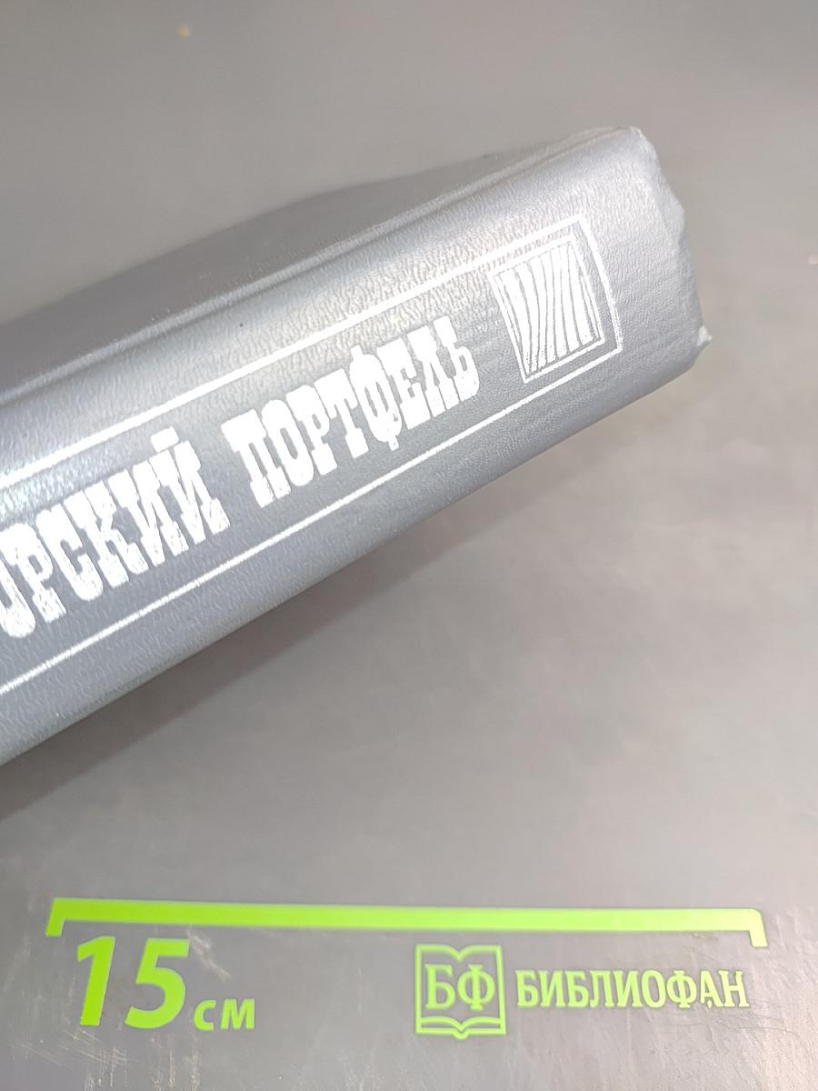 Бухгалтерско-аудиторский портфель